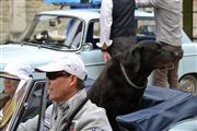 De Zaat Raast - Festival of Sportscars, Temse -  15 augustus 2015