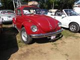 't Zelemse oldtimertreffen -  8 mei 2016