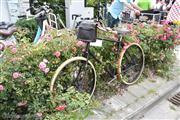 Internationaal oldtimer fietstreffen ORE