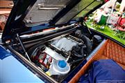 The Quail, A Motorsports Gathering - Monterey Car Week - foto 24 van 175