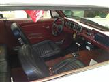 Restauratie Ford Mustang V8 4.7L 289 Hardtop Coupe (1966) - foto 2 van 104