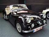 British Classic Car Heritage - Autoworld - foto 8 van 43
