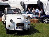 Antwerp  Classic Car Event (zaterdag) - foto 20 van 74