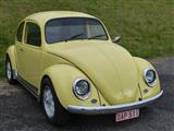 Rétromoteur Ciney Autos-Motos -  4 juni 2017