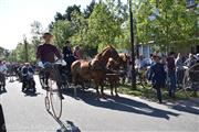 Trammelant De Haan