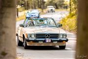 4de Mercedes-Benz, mijn passie meeting/BBQ/rit - foto 46 van 86