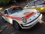 Rallyedemo de Vosges La Bresse (Frankrijjk)