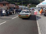 Rallyedemo de Vosges La Bresse (Frankrijjk)