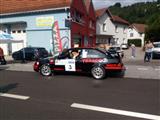 Rallyedemo de Vosges La Bresse (Frankrijjk)