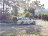 Rallyedemo de Vosges La Bresse (Frankrijjk)