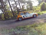 Rallyedemo de Vosges La Bresse (Frankrijjk)