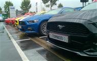 Mustang Desire, old meets new