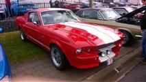 Mustang Desire, old meets new - foto 67 van 70