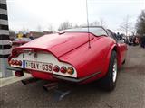 Cars and Coffee -  24 december 2017