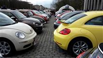VW bug's parade 2018 in Brussel - foto 21 van 49