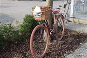 Thuisblijversrit (Oude Gloriën fietsen) - foto 23 van 133