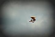Oldtimer Fly/Drive-In Schaffen - foto 1 van 168