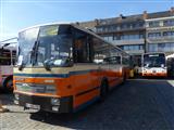 International Oldtimer Bus & Coach Rally Diepenbeek - foto 32 van 139