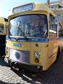 International Oldtimer Bus & Coach Rally Diepenbeek - foto 34 van 139