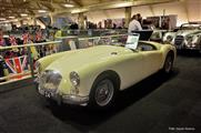 British CARS & Lifestyle Rosmalen -  9 maart 2019