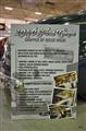 The Flatlands Motorama Hot Rod & Airbrush Show -  6 april 2019