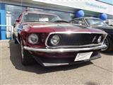 Mustang Fever - foto 16 van 144