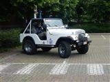 Cars en een koffie te Halle -  26 mei 2019