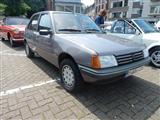 Cars en een koffie te Halle -  26 mei 2019
