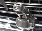 Bikes, cars & coffee Millegem -  5 juni 2019