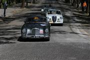 Mille Miglia 2019 - deel 2 -  15 mei 2019