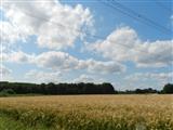 Tractorrit Scheldeland in stoom