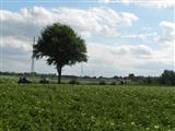 Tractorrit Scheldeland in stoom