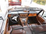Classic Cars Friends Peer -  1 augustus 2019
