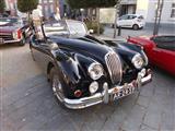 Classic Cars Friends Peer -  22 augustus 2019