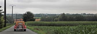 Festival of Sportscars De Zaat Raast -  18 augustus 2019