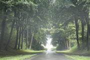 Festival of Sportscars De Zaat Raast -  18 augustus 2019