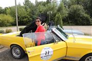 Festival of Sportscars De Zaat Raast -  18 augustus 2019