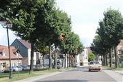 Festival of Sportscars De Zaat Raast -  18 augustus 2019