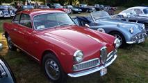 Hemsrode Classic Cars - foto 41 van 66