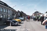 Blauwbuik Toerrit by Elke Fotografie -  15 september 2019
