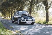 Blauwbuik Toerrit by Elke Fotografie -  15 september 2019