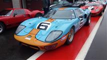Ford GT40 - Le Mans '69 revival - foto 39 van 95