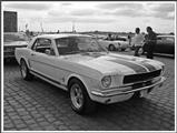 Mustang Fever - foto 24 van 183