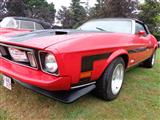 Mustang Fever - foto 57 van 183