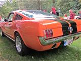 Mustang Fever - foto 74 van 183