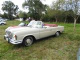 Cars & Coffee Wetteren -  13 september 2020
