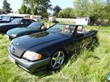 Cars & Coffee Wetteren -  13 juni 2021