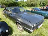 Cars & Coffee Wetteren -  13 juni 2021