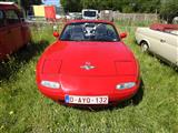 Cars & Coffee Wetteren -  13 juni 2021