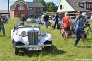 Cars en Coffee Wetteren